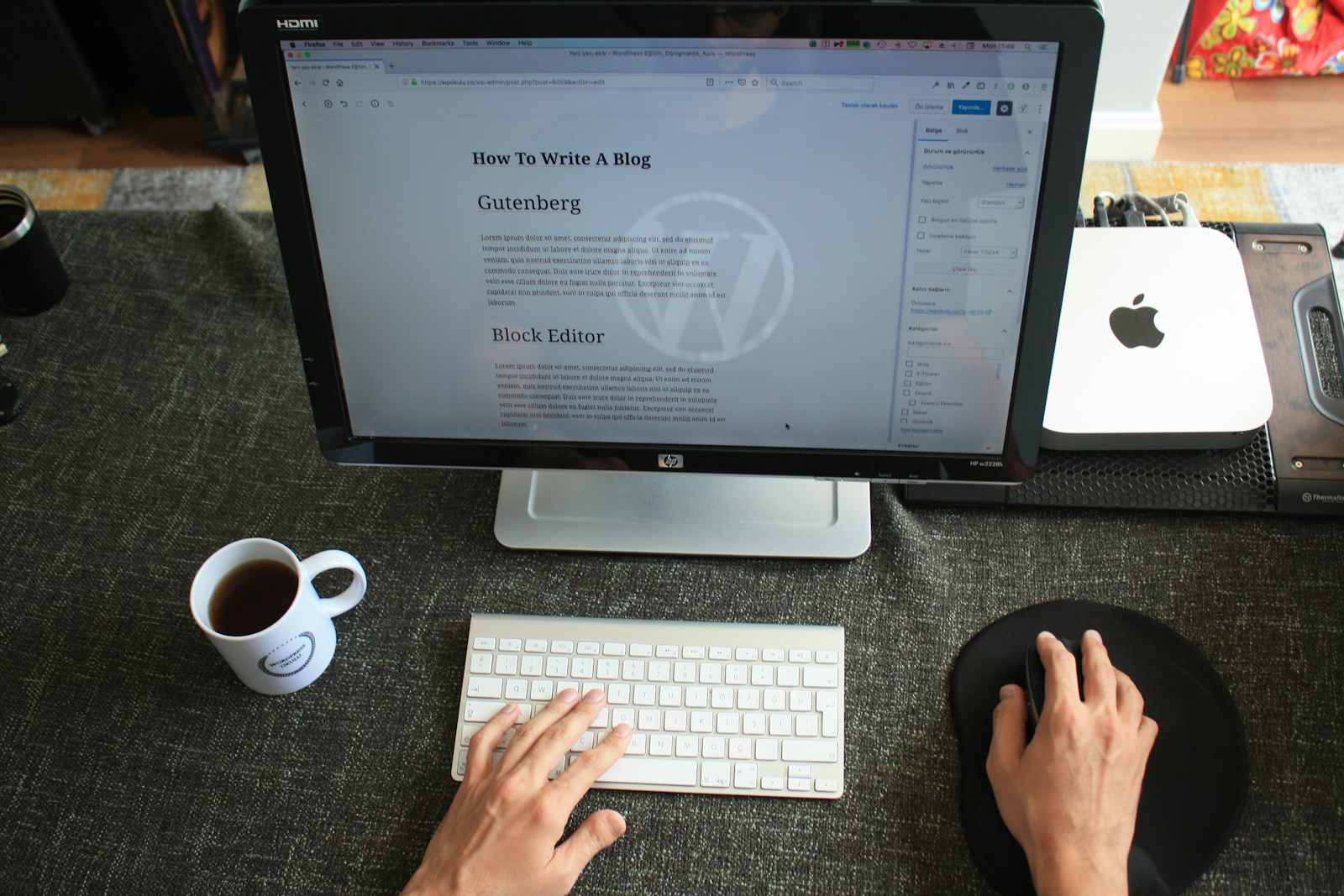 WORDPRESS 2024
